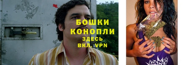 ешки Ельня