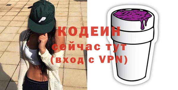 крисы Елабуга