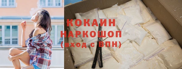 ешки Ельня