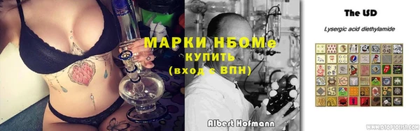 крисы Елабуга