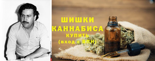 крисы Елабуга