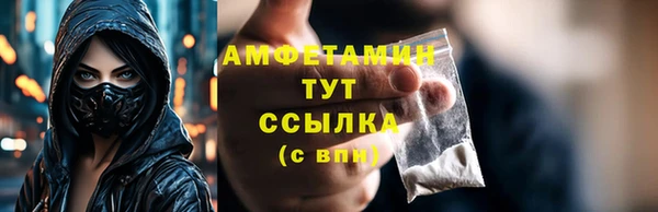 ешки Ельня