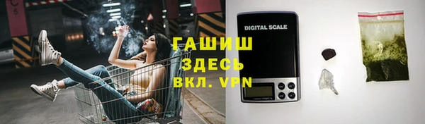 ешки Ельня