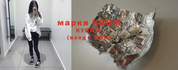 крисы Елабуга