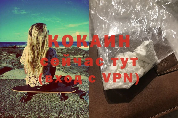 ешки Ельня