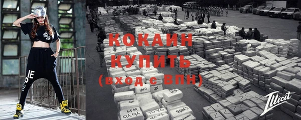 крисы Елабуга