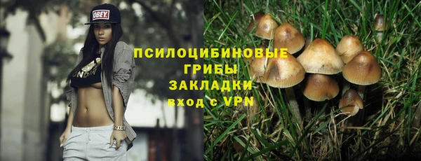 крисы Елабуга