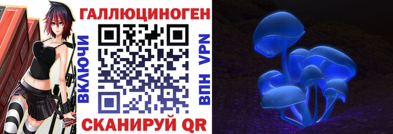 blacksprut рабочий сайт купить закладку Зеленокумск Галлюциногенные грибы прущие грибы